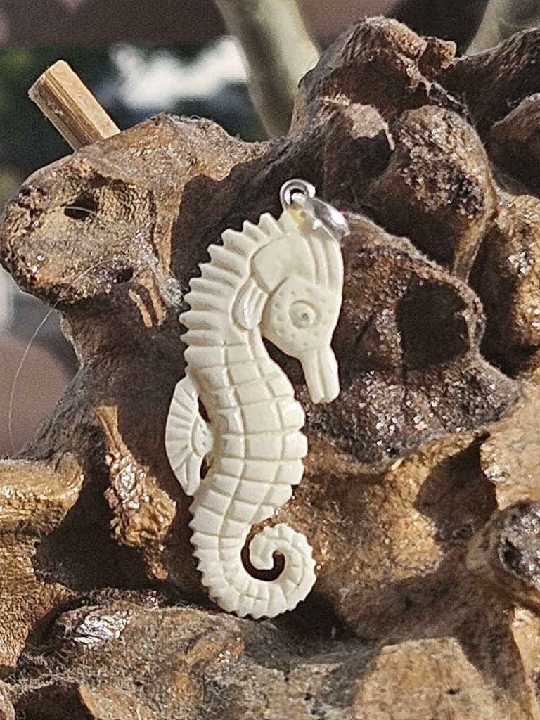 Caballito de Mar